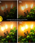 Dimmed Edison bulbs from Warm 2200K Outdoor LED String Lights 100Ft With 52 Shatterproof Edison Bulbs, Dimmable Waterproof Patio Lighting
