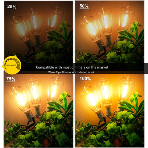 Dimmed Edison bulbs from Warm 2200K Outdoor LED String Lights 100Ft With 52 Shatterproof Edison Bulbs, Dimmable Waterproof Patio Lighting