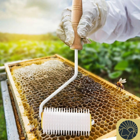 Pro Grade Honey Uncapping Roller Tool for Beekeepers, sharp plastic prongs in use on honeycomb frame with bees