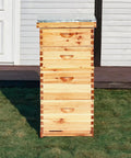 10 Frame Langstroth Beehive With 100 Percent Beeswax Coating Includes Frames And Foundations In Two Deep Boxes And Two Medium Boxes