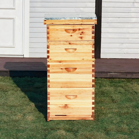 10 Frame Langstroth Beehive With 100 Percent Beeswax Coating Includes Frames And Foundations In Two Deep Boxes And Two Medium Boxes