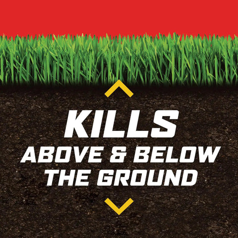 Lawn Bug Killer Granules For Large Yards Up To 10,000 Sq Ft Kills Ants Spiders Fleas And Ticks With Outdoor Bug Control Graphic