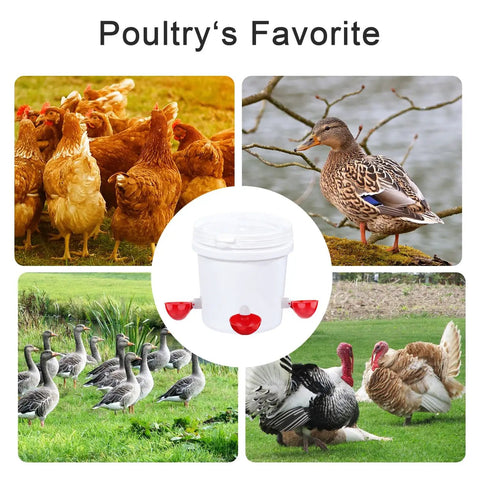 Beefed Up Automatic Chicken Waterer Cups Six Pack Large Poultry Drinkers With Tee Fittings showing water cups with chickens and ducks.