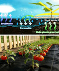 Heavy Duty 3.2oz Weed Barrier Landscape Fabric 3FT X 50FT Ground Cover For Garden Farm Yard And Driveway in use with tomato plants.