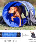 Dog running through blue 10 ft tunnel from Backyard Dog Agility Starter Kit With 10 Foot Tunnel, Tire Jump, Bar Jump, Weave Poles, Sandbags And Pause Box For Home Training, A 5 Piece Agility Set For Active Pups And Beginners.