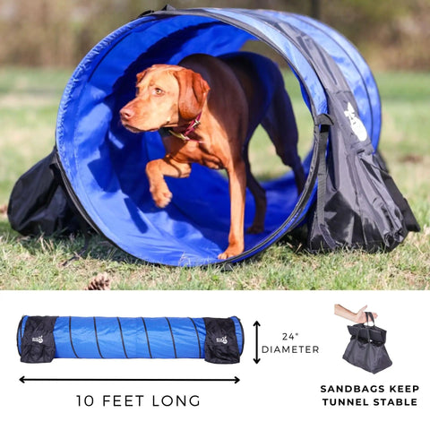 Dog running through blue 10 ft tunnel from Backyard Dog Agility Starter Kit With 10 Foot Tunnel, Tire Jump, Bar Jump, Weave Poles, Sandbags And Pause Box For Home Training, A 5 Piece Agility Set For Active Pups And Beginners.