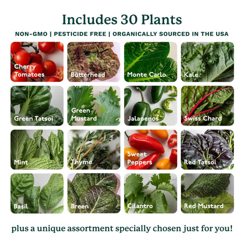 Indoor Vertical Hydroponics Kit For Home Gardening With LED Grow Lights Grows 30 Non GMO Plants Herbs And Vegetables In Just 2 Sq Ft image showing various plants including tomatoes, kale, and peppers.