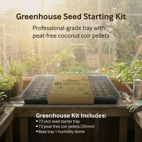 72 Coconut Coir Seed Starter Pellets Kit With Humidity Dome And Watertight Tray 35mm Peat Free Pellets on windowsill