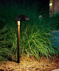 Low Voltage LED Pathway Lights That Really Light Up Walkways And Driveways 5W 12V 400LM Outdoor Landscape Lighting in garden