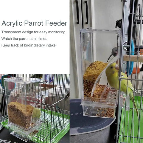 Two Pack Automatic No Mess Bird Cage Feeder Set With Clear Acrylic Food Tray And Blue Water Dispenser For Parrots shows a parrot using a transparent feeder.