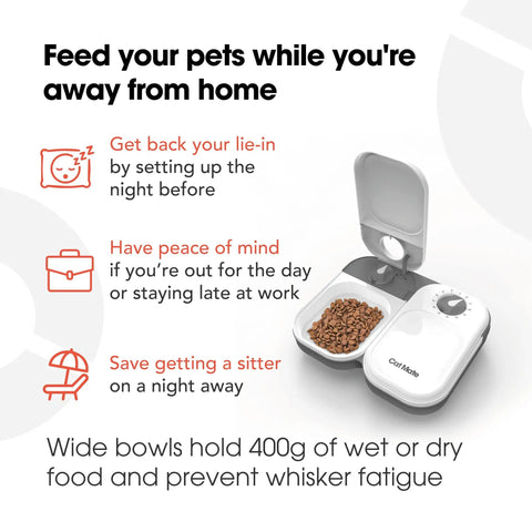 No Fuss Dual Compartment Automatic Pet Feeder Programmable Meal Timer For Cats And Small Dogs Handles Up To Forty Eight Hour Scheduling with food.