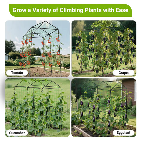 Metal Garden Arch Trellis For Climbing Plants Outdoor Space Saving 7.1Ft Tall Cucumber Trellis For Raised Beds Plant Support For Veggies Fruits Flowers And Vines Black Finish with tomatoes, grapes, cucumbers, and eggplants.