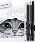 Close-up of a cat sketch with All In One 42 Piece Drawing Set For Artists And Beginners, including graphite and charcoal pencils.