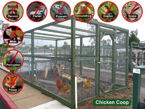 Beefy 36x50 Hardware Cloth One Quarter Inch 23Ga Welded Wire Mesh Fence Roll For Chicken Coops, predator-proof structure
