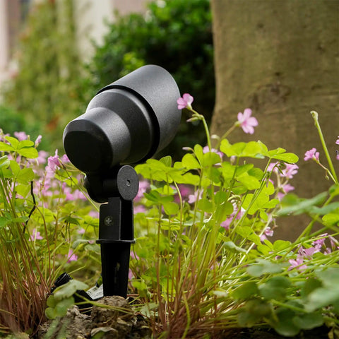 Low Voltage Landscape Lighting 20W Outdoor Spotlight Floodlight with aluminum body in garden setting with flowers