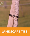 Locking Tree and Plant Ties 1 Inch Wide 100 Feet Long Black Plastic Ties securing tree on wooden stake outdoors.