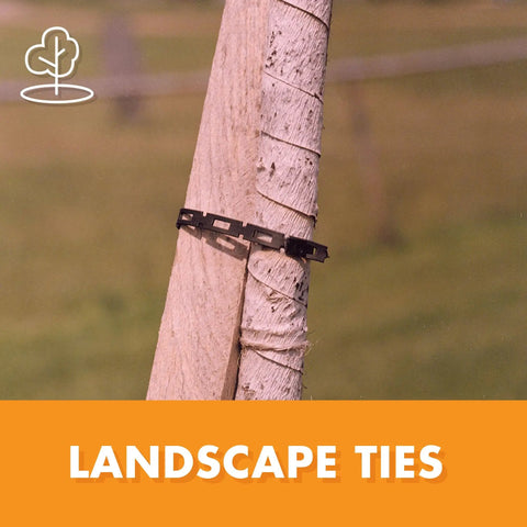 Locking Tree and Plant Ties 1 Inch Wide 100 Feet Long Black Plastic Ties securing tree on wooden stake outdoors.