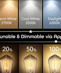 Lighting options of Lux Edison Smart Light Bulb With Alexa And Google Home Compatibility showing warm, cool, and daylight settings.