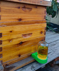 Green Bee Hive Feeder Kit Eight Pack for Easy Water or Sugar Syrup Feeding in Hives next to wooden beehive on a table