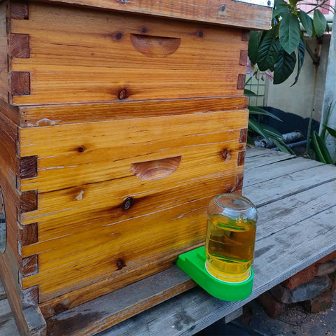 Green Bee Hive Feeder Kit Eight Pack for Easy Water or Sugar Syrup Feeding in Hives next to wooden beehive on a table