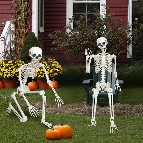 Epic Life Size Halloween Skeleton With Movable Joints, Realistic Gray Plastic Bones, 5.4 Feet Tall in outdoor garden setting