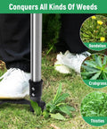46 Inch Stand Up Weed Puller Tool, 4 Claw Weeder With Adjustable Handle removing weeds from lawn.