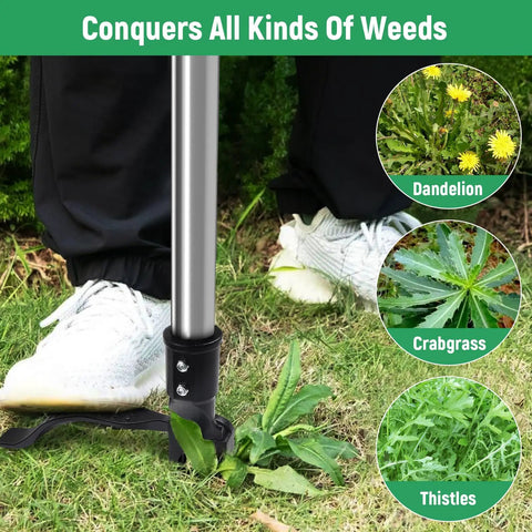 46 Inch Stand Up Weed Puller Tool, 4 Claw Weeder With Adjustable Handle removing weeds from lawn.