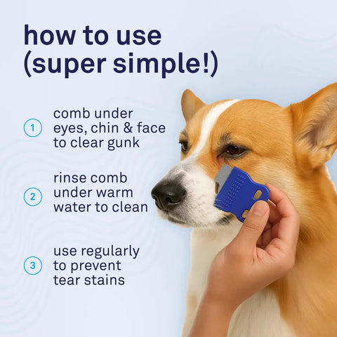 Extra Fine Stainless Steel Dog Eye Comb For Gentle Grooming And Tear Stain Cleanup The Safe Pain Free Face Cleaning Tool For Shih Tzu Maltese And Small Breeds Keeps Fur Around Eyes Debris And Mucus Under Control. Blue dog eye comb near face