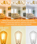 Living room with Vintage Edison LED Bulbs 6W, 60W Equivalent, Soft White 3000K, 4000K, 5000K in ceiling fixtures