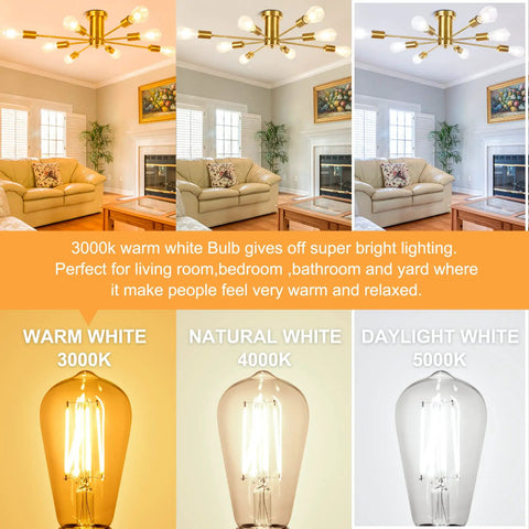 Living room with Vintage Edison LED Bulbs 6W, 60W Equivalent, Soft White 3000K, 4000K, 5000K in ceiling fixtures