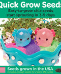Mini Axolotl Terrarium STEM Kit for Kids A Hands On Garden Experience With Egg Shaped Tank Plant Chia Seeds And Cute Axolotl Toys close-up