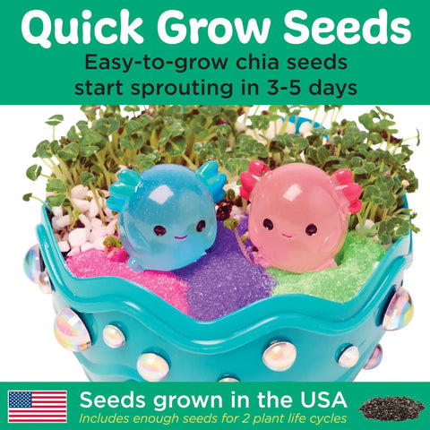 Mini Axolotl Terrarium STEM Kit for Kids A Hands On Garden Experience With Egg Shaped Tank Plant Chia Seeds And Cute Axolotl Toys close-up