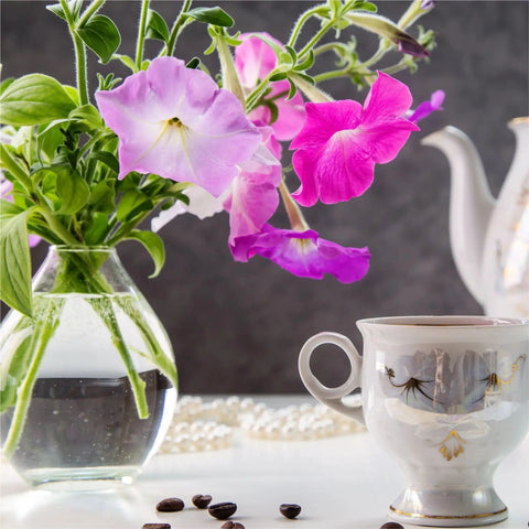 Petunia Cascading Seed Pod Kit For Indoor Hydroponic Garden, pink and purple petunias in vase, with tea cup and teapot