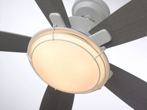 Rockpointe Caged Ceiling Fan With Light 54 Inch Outdoor Fixture Wet Rated for Patios and Decks, close-up view of light and blades