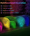 Two Pack Outdoor RGBW LED Spotlight Kit With Remote Control illuminating garden bushes in 16 colors showing dimmable feature.