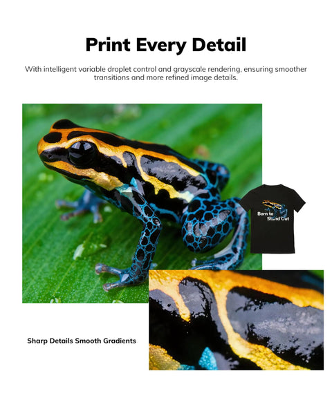 Close-up of a colorful frog against green leaves with a detailed t-shirt design, showcasing print quality and details.