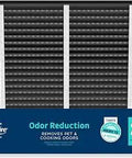 Front view of 213CBN Replacement Filter For Whole House Air Purifiers, MERV 13 With Carbon, Odor Reduction, 20x25x4 pack of 2.
