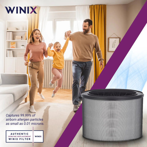 Family enjoying clean air with Replacement Filter O For A230 And A231 Air Purifiers, True HEPA 99.97 Percent Filtration displayed.