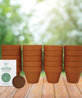 Sunflower Seed Starter Kit Bulk 20 Pack With Mini Terracotta Pots For Weddings DIY Crafts Classroom Projects Party Favors And Easy Home Gardening For All Ages.