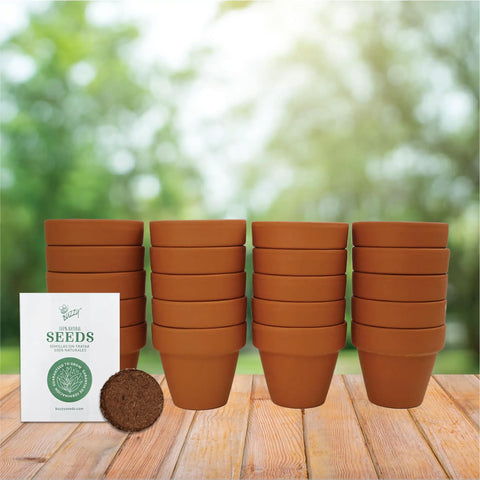 Sunflower Seed Starter Kit Bulk 20 Pack With Mini Terracotta Pots For Weddings DIY Crafts Classroom Projects Party Favors And Easy Home Gardening For All Ages.