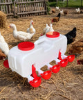 Backyard Boss Automatic Chicken Waterer Featuring Ten Heavy Duty Cups Plus A 9.6 Gallon Self Filling Reservoir in use with ducks and chickens.