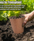 Hand planting a 4 Inch Biodegradable Peat Pot with soil and seedling in garden, part of 50 set with 20 plant labels for germination.