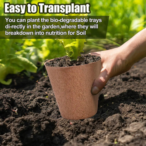 Hand planting a 4 Inch Biodegradable Peat Pot with soil and seedling in garden, part of 50 set with 20 plant labels for germination.