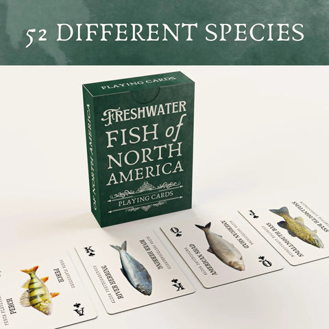 Waterproof Plastic Freshwater Fish Playing Cards With 52 Species, cards spread showing fish images, educational deck for anglers.
