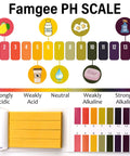 8 Pack pH Test Strips 640 Pieces Universal 1 To 14 pH Indicator Paper with color chart for easy testing in various liquids.