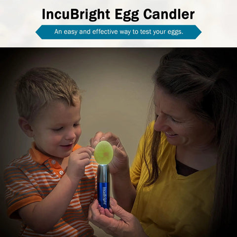 Mother and child using Ultra Bright LED Egg Candler Portable Light For All Egg Sizes That Lets You See Developing Or Non-Developing Eggs