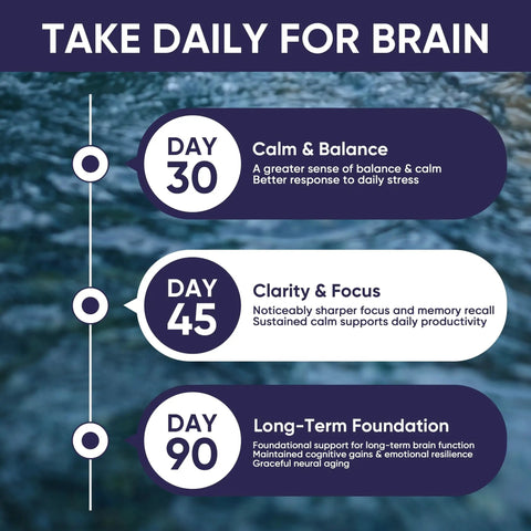 10mg Lithium Orotate Anxiety And Mood Support Capsule benefits timeline, showing effects from day 30 to day 90 on brain health.