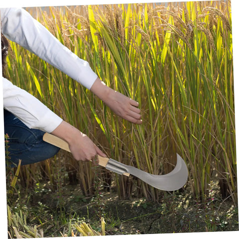 Person using Long Handle Manganese Steel Grass Sickle For Weeding And Harvesting, Hand Tool With Wooden Grip in field.