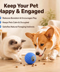 Automatic Rolling Treat Dispenser Ball For Dogs And Cats Interactive Smart Puzzle Feeder on floor with cat and dog.
