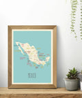 Mexico Map Poster 11x14 Blue Wall Art For Kids And Classrooms, Educational Geography Print on shelf with cacti and plants